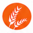 Gluten